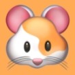 WWW,se166·COM网站APPAPP应用