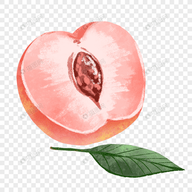 WWW,ppp69·COM网站APP