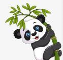 暴躁少女CSGO视频播放APP应用